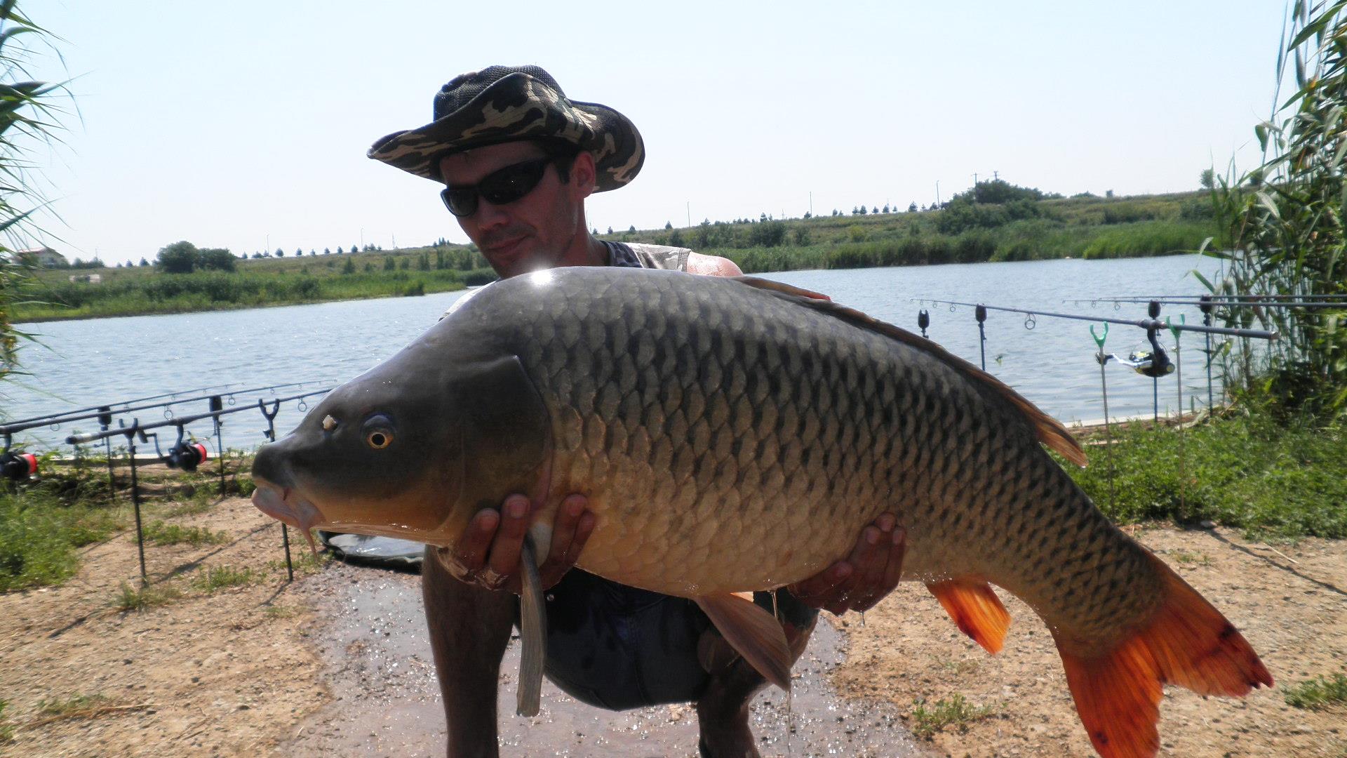 Best Off - p71000961.JPG